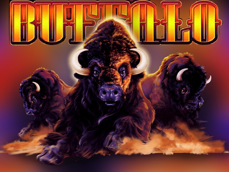 Buffalo Slot Review