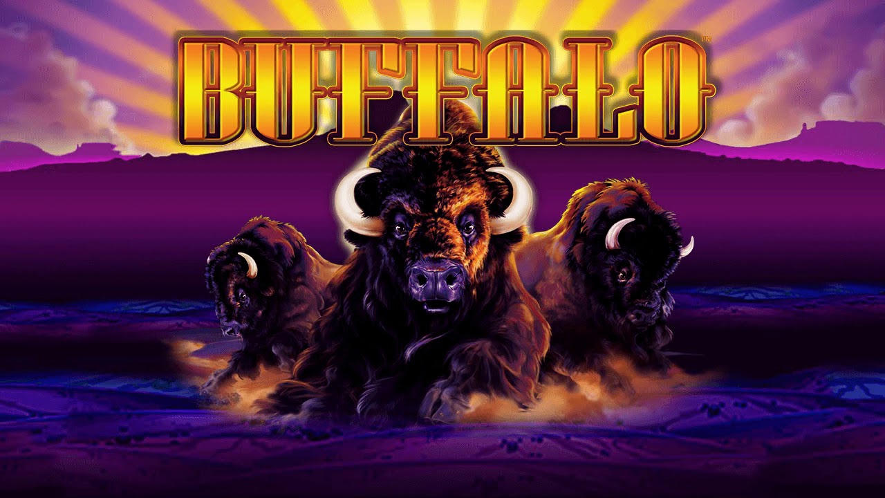 Buffalo casino game